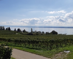 Im Herbst 2019 (7)
